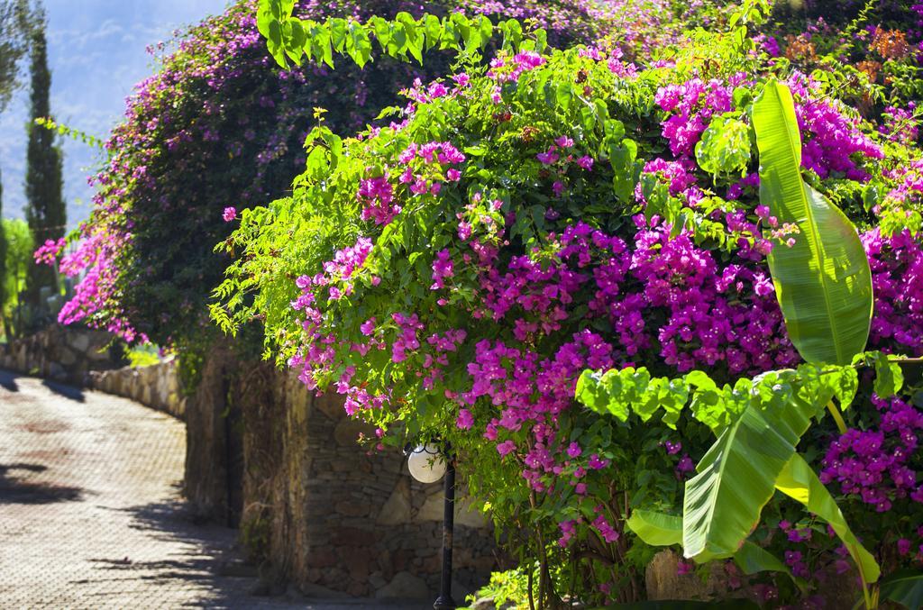 Paradise Garden Hotel Ölüdeniz Zewnętrze zdjęcie