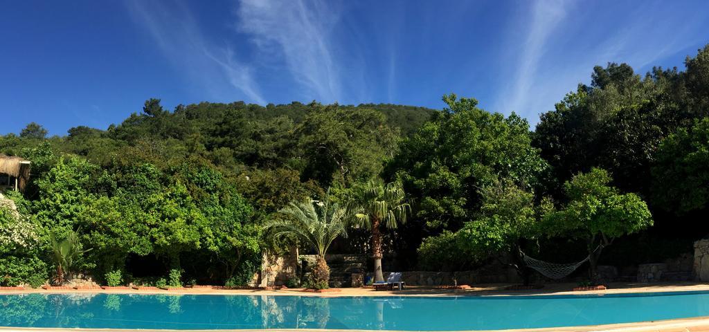 Paradise Garden Hotel Ölüdeniz Zewnętrze zdjęcie