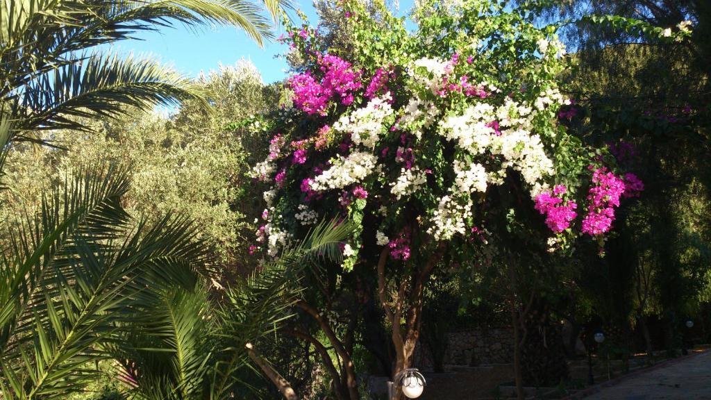 Paradise Garden Hotel Ölüdeniz Zewnętrze zdjęcie
