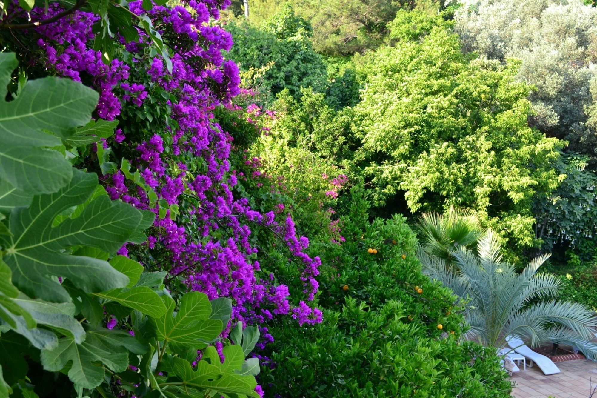 Paradise Garden Hotel Ölüdeniz Zewnętrze zdjęcie